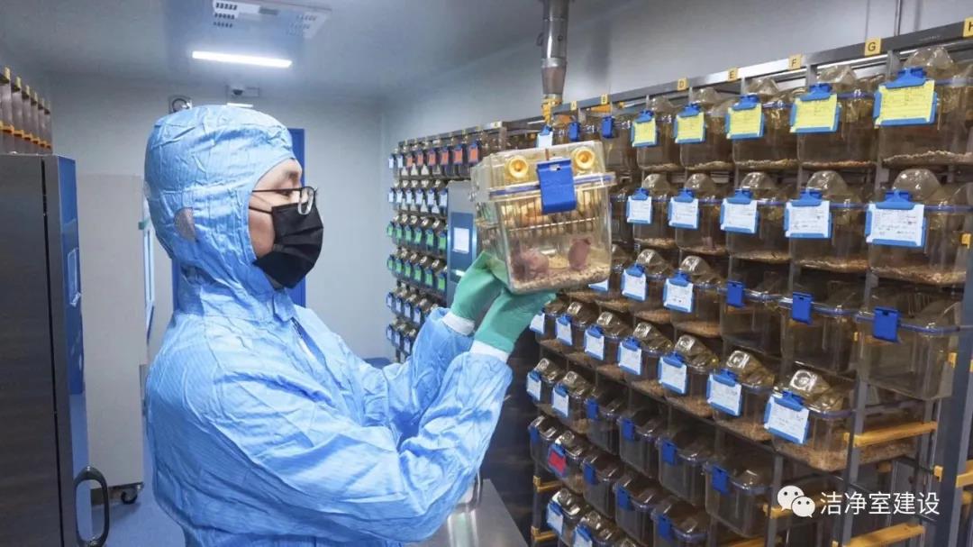 淺析實驗動物房的工程設計